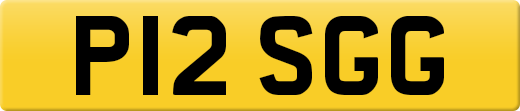 P12SGG